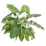 Syngonium artificiel SERENO, sur piquet, vert, 45cm