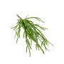 Rhipsalis en chute artificiel HADRIAN, sur piquet, vert, 35cm
