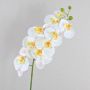 Tige d'orchidée en soie OPHELIA, blanc, 100cm, Ø12cm