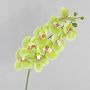 Tige d'orchidée en soie OPHELIA, vert, 100cm, Ø12cm