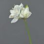 Amaryllis en tissu BENITA, blanc, 55cm, Ø10cm