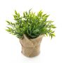 Fragon faux houx artificiel VITUS, en sac de jute, vert, 22cm, Ø24cm