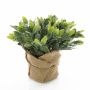 Sauge artificielle VITUS, dans son sac de jute, vert-blanc, 20cm, Ø22cm
