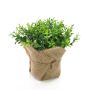 Cresson artificiel VITUS, dans son sac de jute, vert, 17cm, Ø18cm