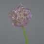 Fleur d'allium artificiel SAMARA, lilas, 75cm, Ø12cm