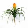 Vriesea artificiel BENICIA, sur piquet, jaune-orange, 30cm