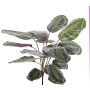 Calathea Médaillon artificiel BRIHANNA, sur piquet, vert, 75cm
