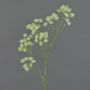 Branche d'Aralia artificielle YARED, avec fleurs, crème, 85cm