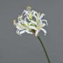 Fleur de nérine bowdenii artificielle MONJA, blanc, 70cm, Ø12cm
