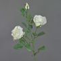 Tige de roses artificielle ARIANE, blanc, 75cm, Ø7-10cm