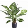Dieffenbachia artificiel DILLA, vert-blanc, 50cm