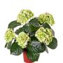 Faux Hortensia TEMARI, vert, 40cm, Ø30cm, Ø10-12cm