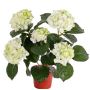 Faux Hortensia TEMARI, crème-vert, 40cm, Ø30cm, Ø10-12cm