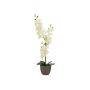 Fausse orchidée Phalaenopsis KATALIN, pot décoratif, crème, 80cm