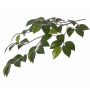 Fausse branche de camélia RAVEN, vert, 70cm