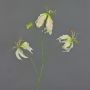 Gloriosa artificielle TIANA, rose-vert, 80cm, Ø8-15cm