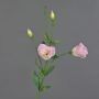 Lisianthus artificiel JUDIKA, rose, 70cm, Ø5cm