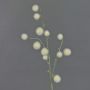 Ail ornemental artificiel EMRAH, crème, 80cm, Ø2-4cm