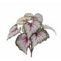 Bégonia artificiel KATRICE sur piquet, violet-vert, 25cm