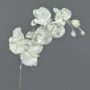 Tige d'orchidée Phalaenopsis artificielle MYRIA, enneigé, blanc, 75cm