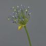 Ail ornemental artificiel KATYNA, bleu, 70cm