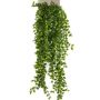 Ficus pumila artificiel BASQUIAT sur piquet, 80cm