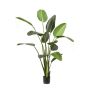 Plante artificielle Strelitzia PAVLOVA, vert, 190cm