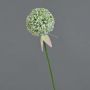 Allium artificiel DURBAN, blanc, 70cm