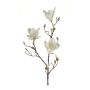 Magnolia artificiel MALVAO, crème, 90cm