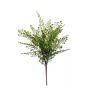 Fougère type Capillaire de Montpellier artificielle DEMAS sur piquet, vert, 40cm