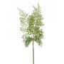 Branche de fougère polystichum HALIMA, vert, 60cm