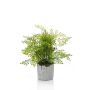 Fougère type Capillaire de Montpellier artificielle SANTINA en pot en ciment, vert, 30cm