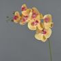 Tige d'orchidée Phalaenopsis en soie NEITH, orange-rose fuchsia, 85cm