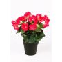 Bégonia artificiel DOBRADA, rose, 30cm