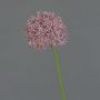 Allium artificiel ARNAU, violet, 60cm