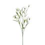 Œillet en tissu KANO, crème, 70cm