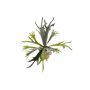Fougère corne de cerf artificielle MARLEY en pot en terre cuite, vert, Ø50cm