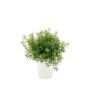 Asparagus sprengeri artificiel JOSHUA en pot en céramique, 20cm, Ø17cm