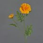 Fleur artificielle œillet d'Inde ASTIE, orange, 60cm, Ø5-9cm