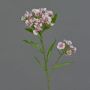 Oeillet artificiel ARCHIE, crème-rose, 60cm, Ø7-16cm