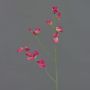 Fleur artificielle Lathyrus ASFALOTH, fuchsia, 65cm