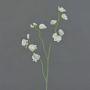 Fleur artificielle Lathyrus ASFALOTH, blanc, 65cm