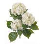 Faux Hortensia SAIRA, piquet, crossdoor, crème, 40cm, Ø11-13cm
