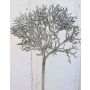 Branche de corail artificielle NADINA, paillettes, argenté-brun, 45cm