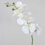 Tige d'orchidée Phalaenopsis artificielle OPHELIA, blanc, 80cm