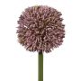 Fleur décorative Allium MENKES, lilas, 65cm