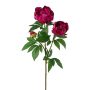 Branche décorative Pivoine SLORVE, cerise, 70cm