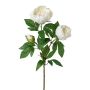 Branche décorative Pivoine SLORVE, blanc, 70cm