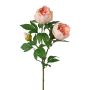 Branche décorative Pivoine SLORVE, saumon, 70cm