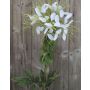 Fleur artificielle Cleome HILDEGARD, blanc, 85cm